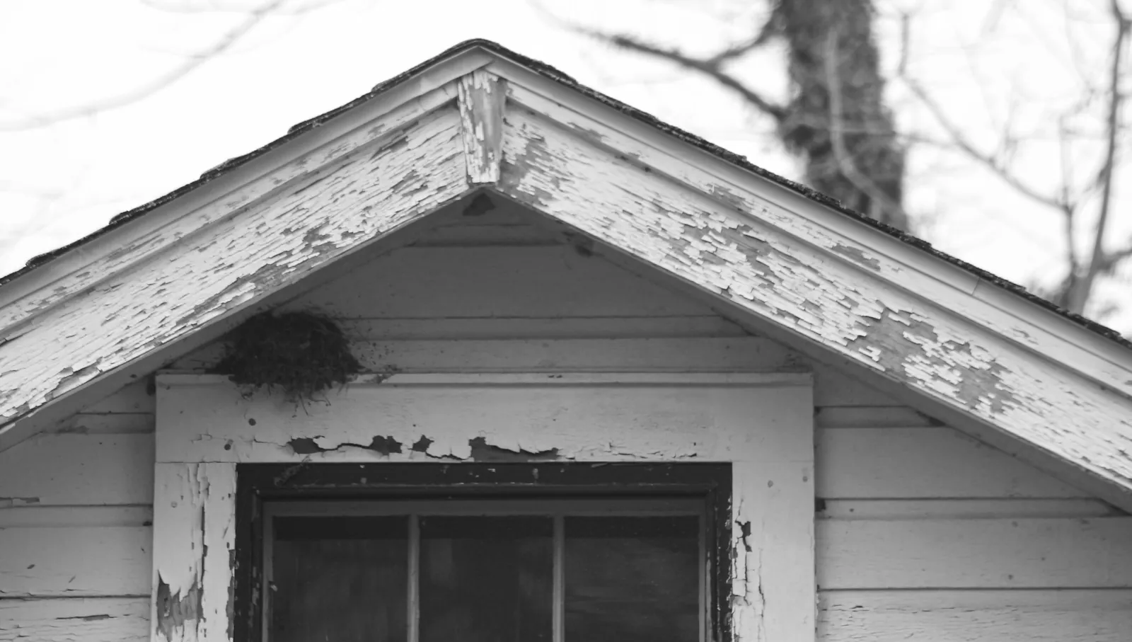 Bird nest tucked under the eave of a wooden house