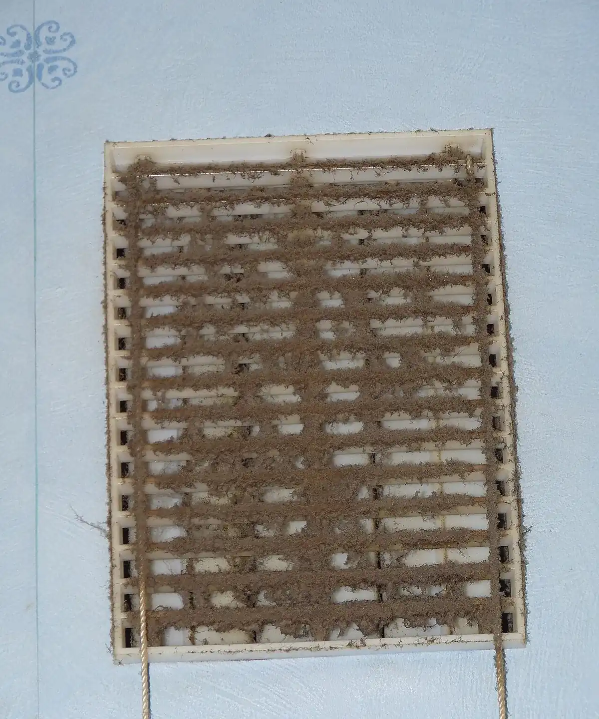 Wall vent grille clogged with thick dust and fluff